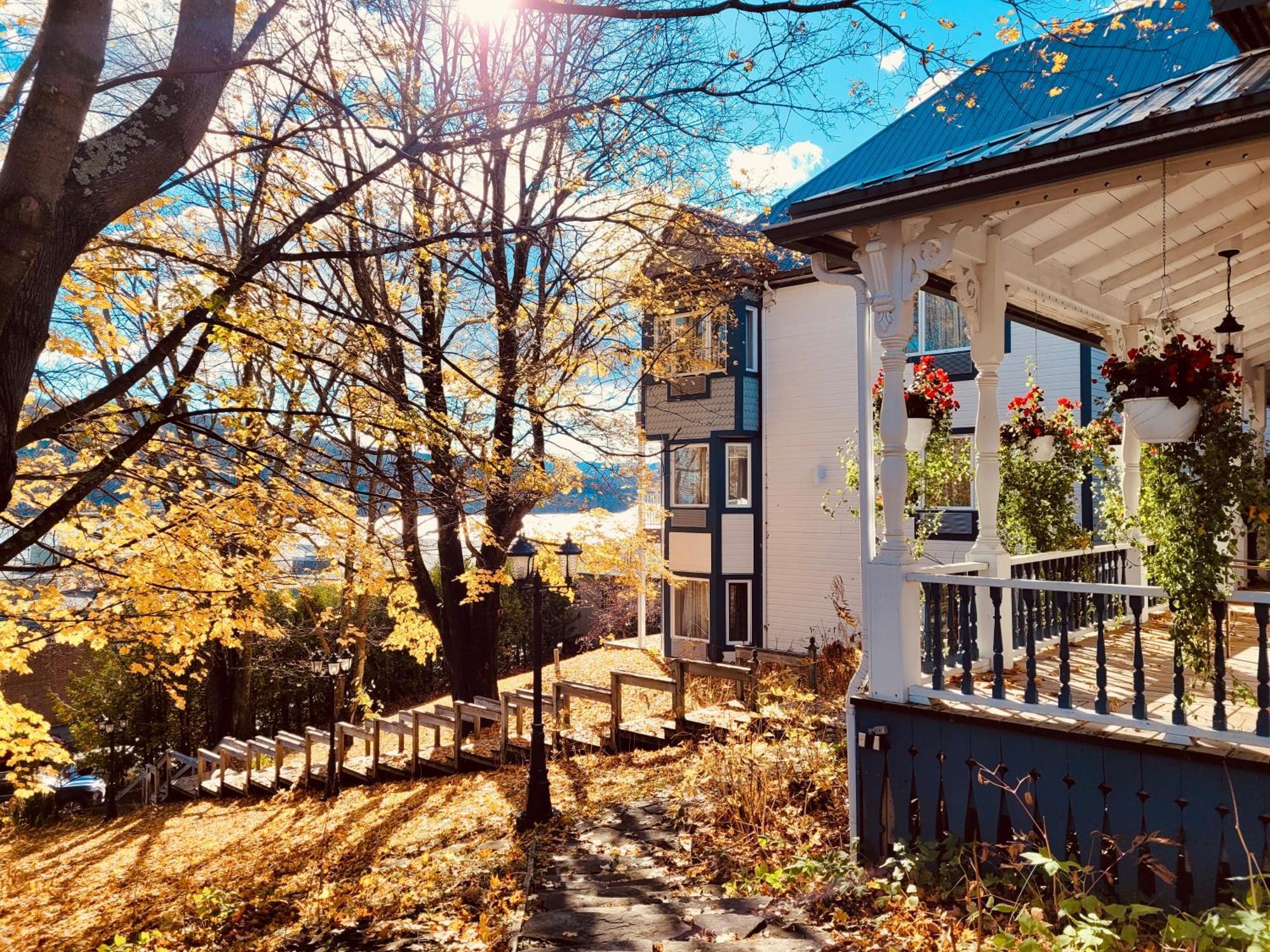 Auberge Sous Les Arbres Gaspé Exterior foto